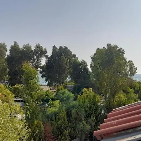 Aryam * Fethiye