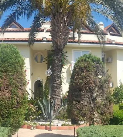 Aryam * Φετιγιέ